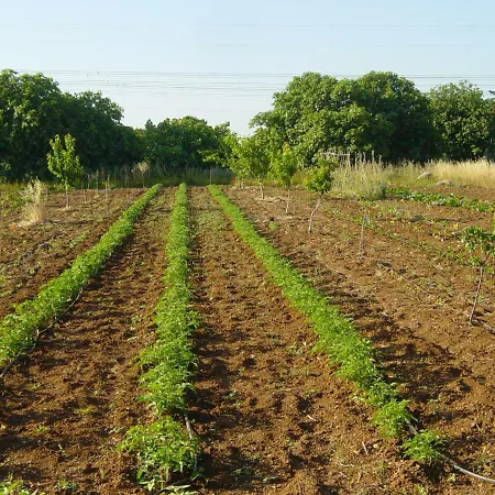 בית כפרי Tenuta Argiano מסניה
